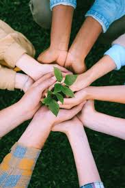 About Helping Hand Organisation