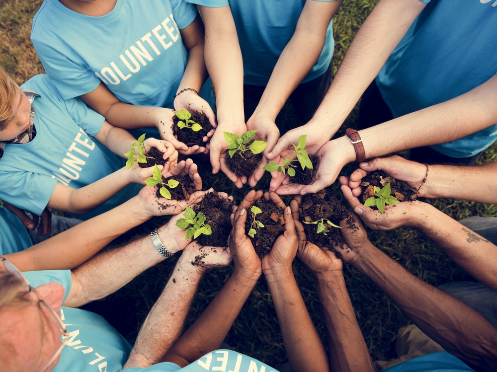 Tree planting